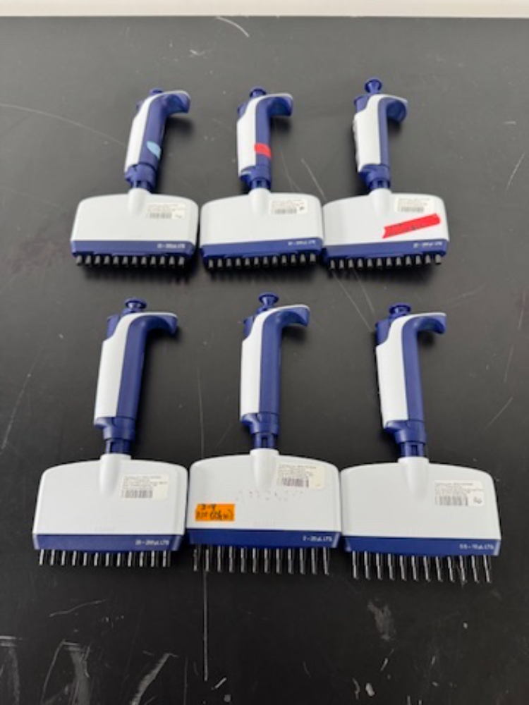 Image of Rainin Pipet-Lite XLS Multichannel Pipettes - Quantity 6